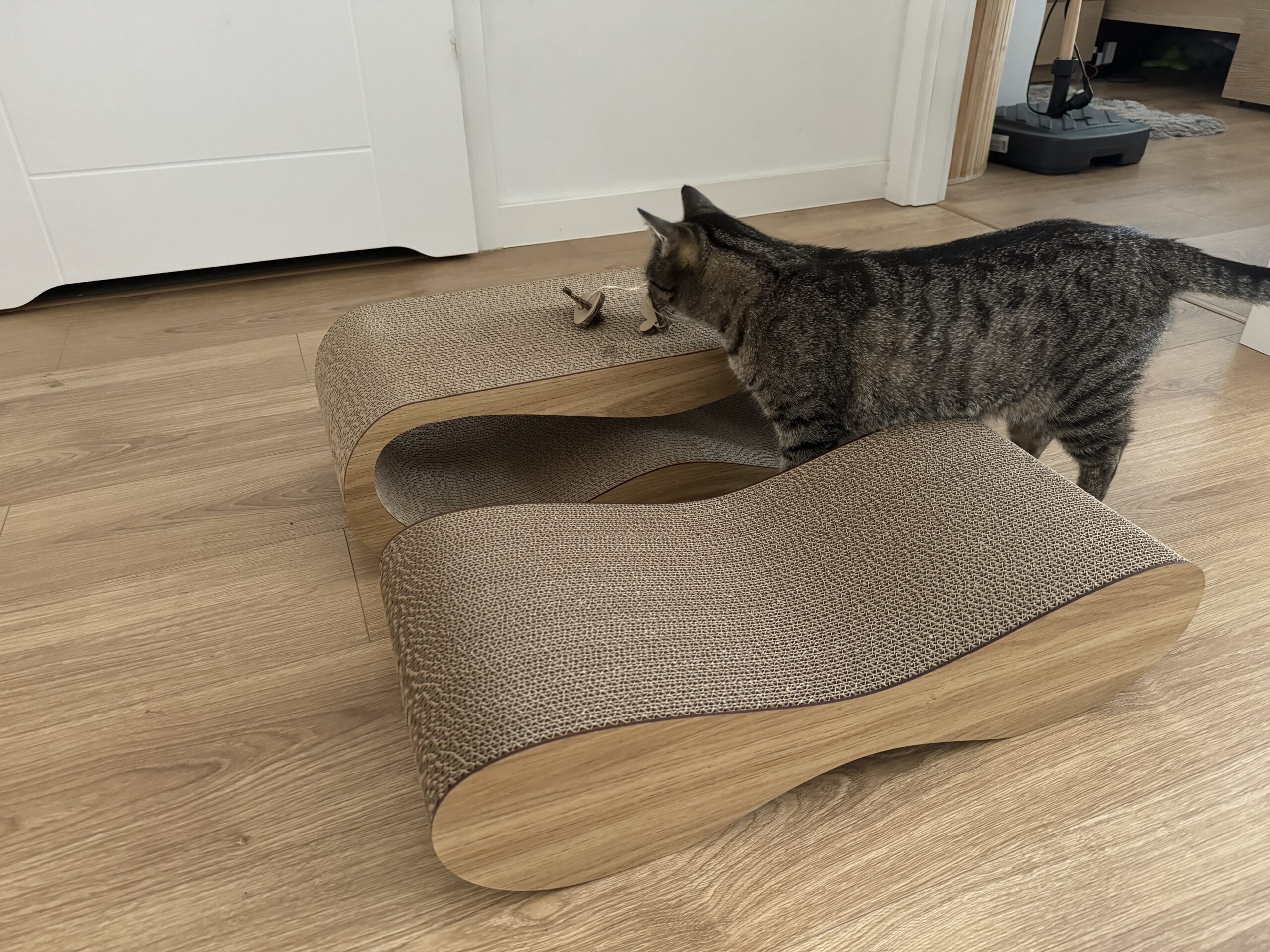 Drapak tekturowy dla Kota - obrazek 5