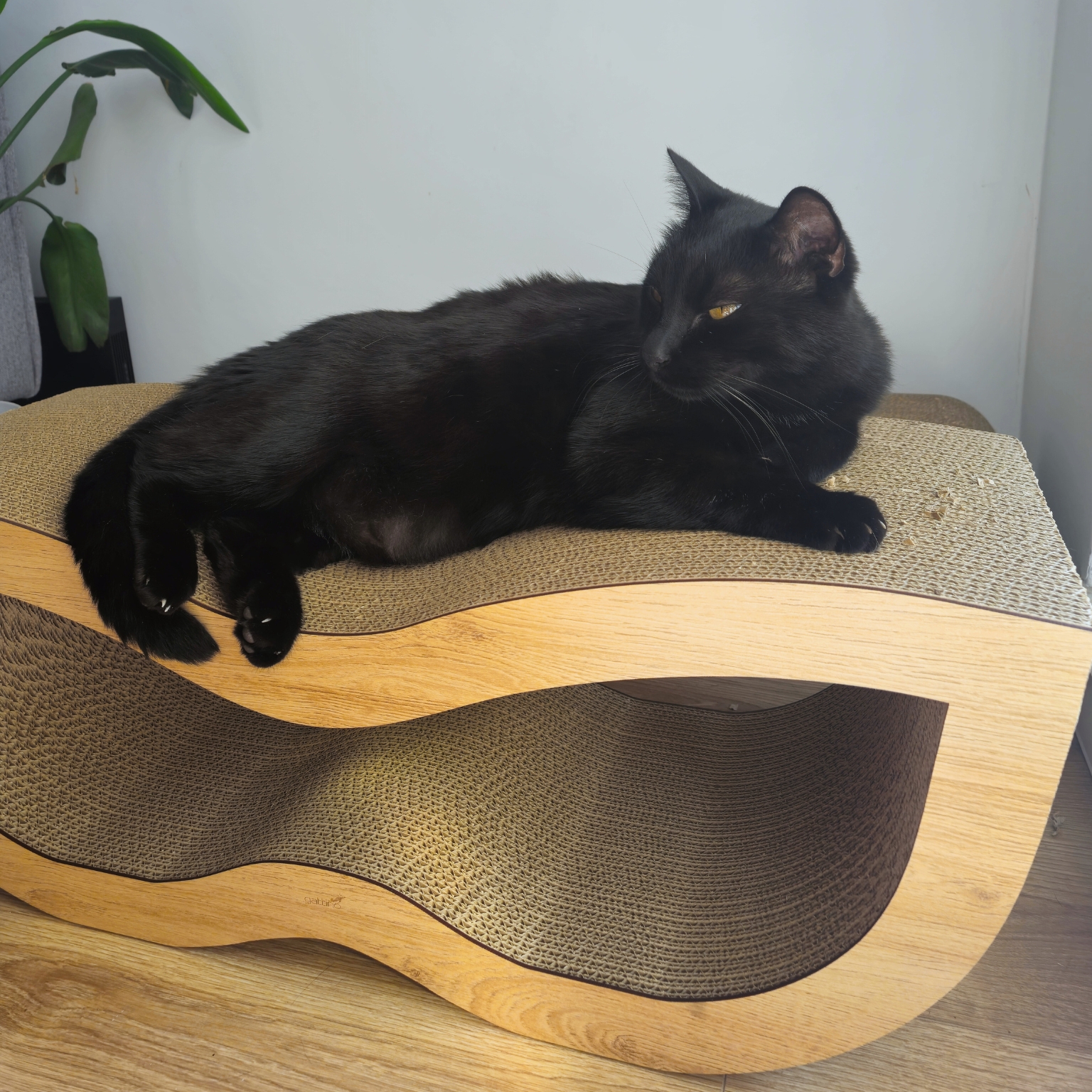 Drapak tekturowy dla Kota - obrazek 7