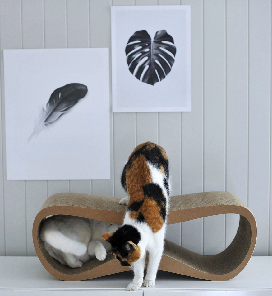 Drapak tekturowy LUI - obrazek 3