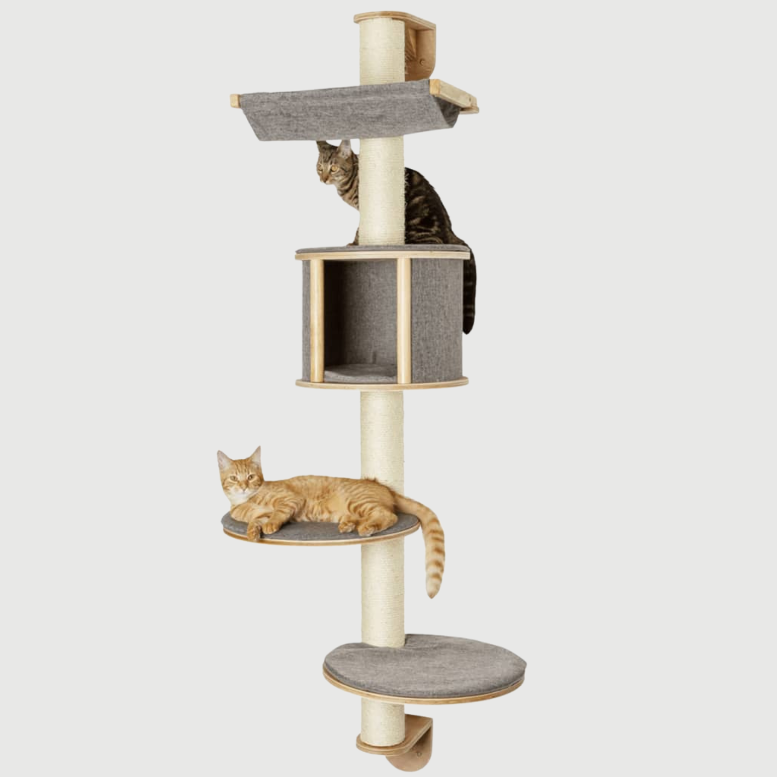 Drapak dla kota ścienny 168 cm