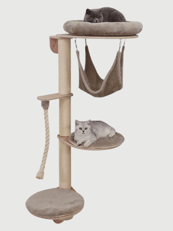 Drapak dla kota na ścianę - 158 cm