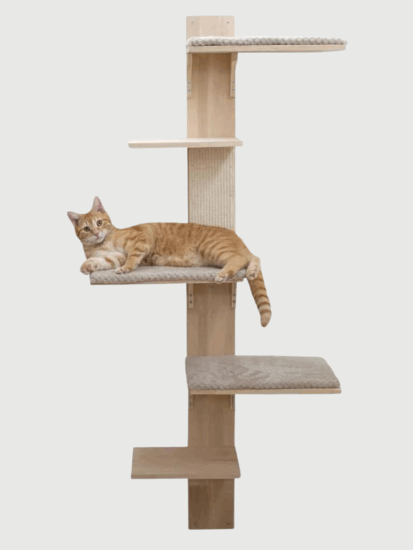 Słupek ścienny dla kota 150 cm