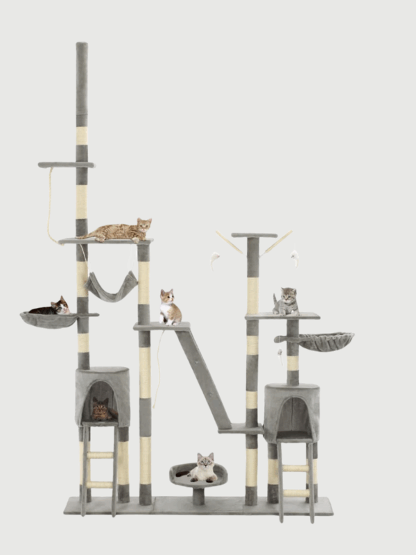 Drapak dla kota sufitowy 230-250 cm