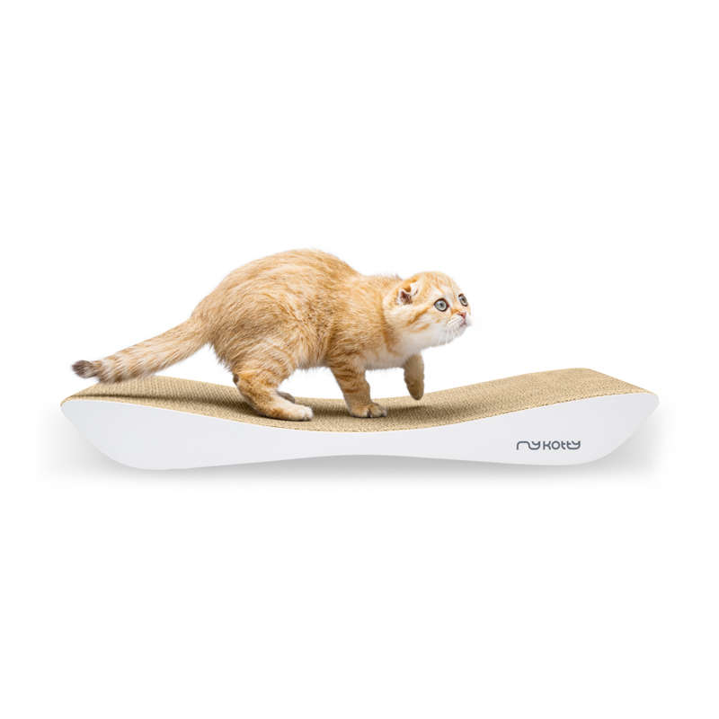 Drapak kartonowy TOBI - obrazek 6