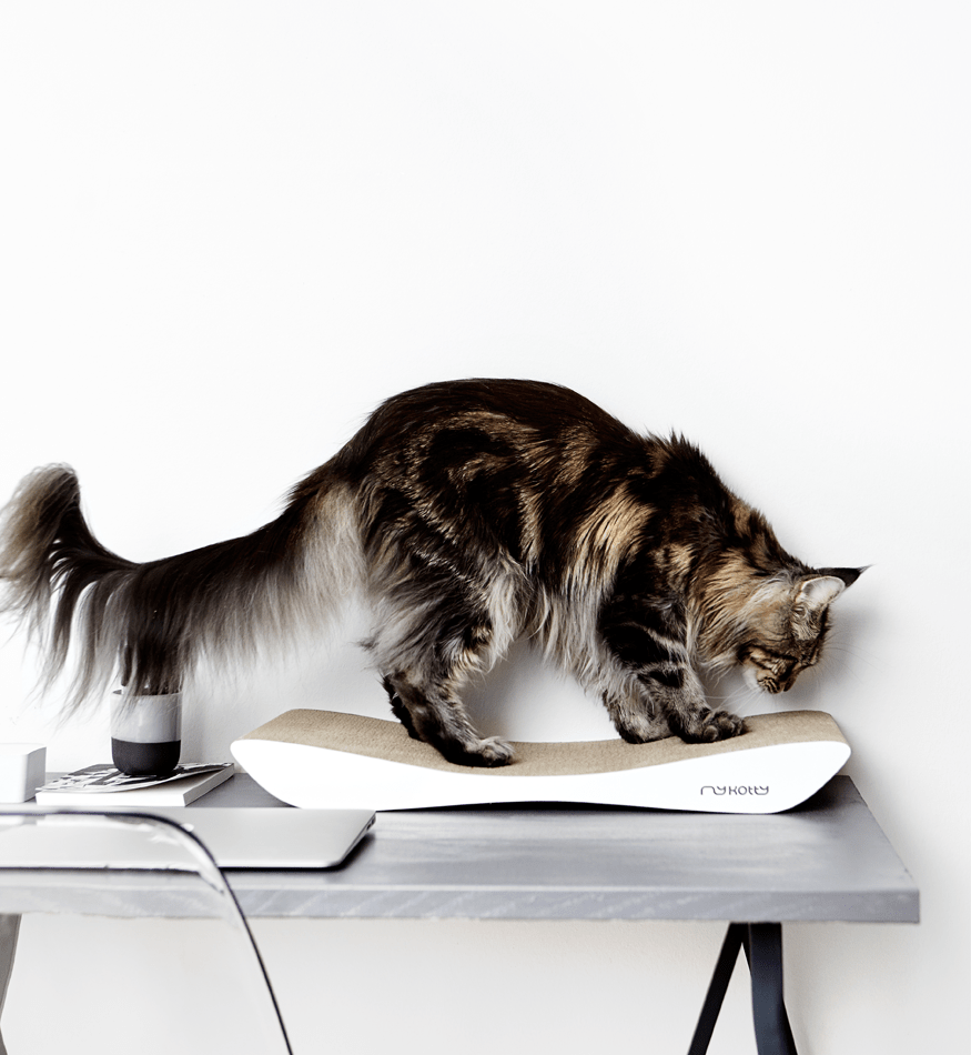 Drapak kartonowy TOBI - obrazek 2