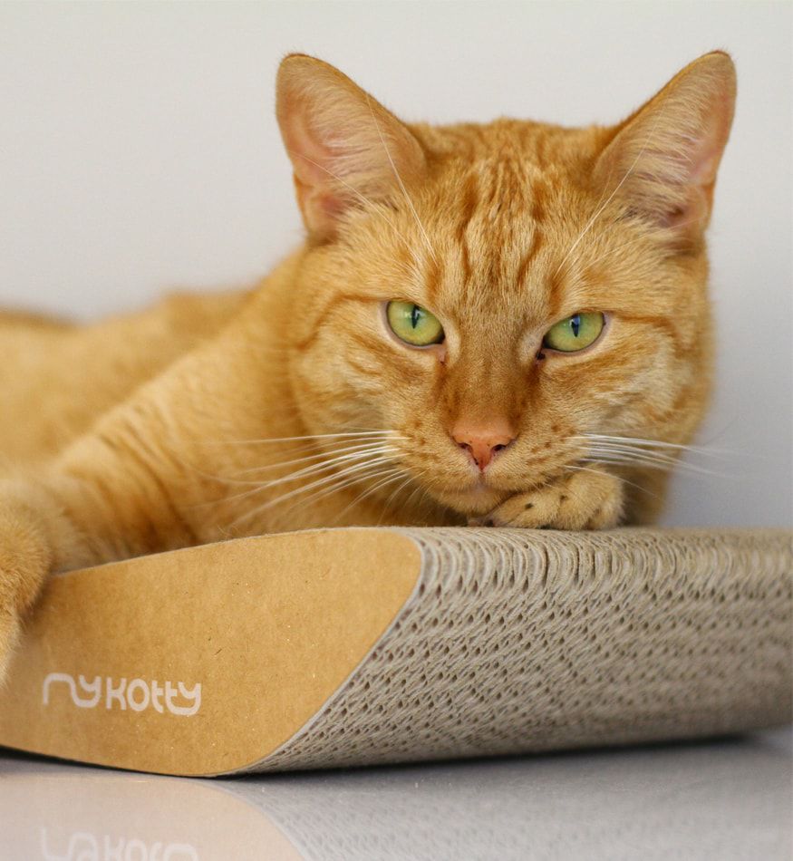 Drapak tekturowy TOBI - obrazek 8