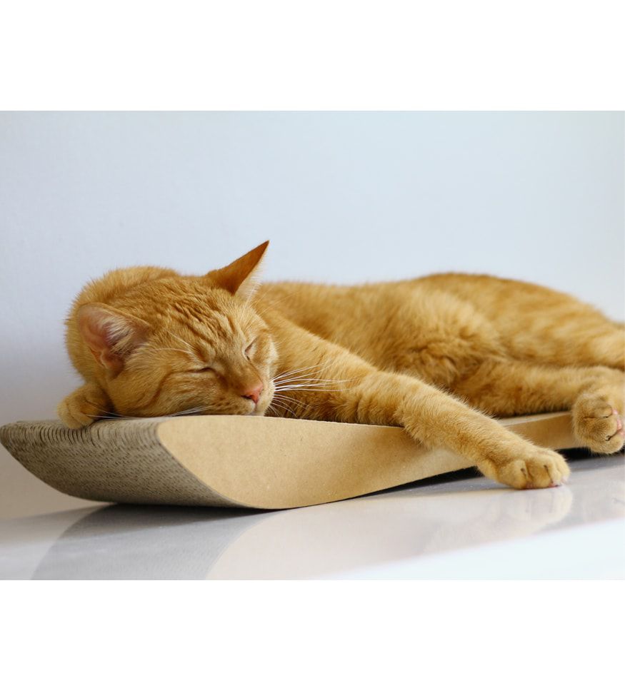 Drapak tekturowy TOBI - obrazek 9