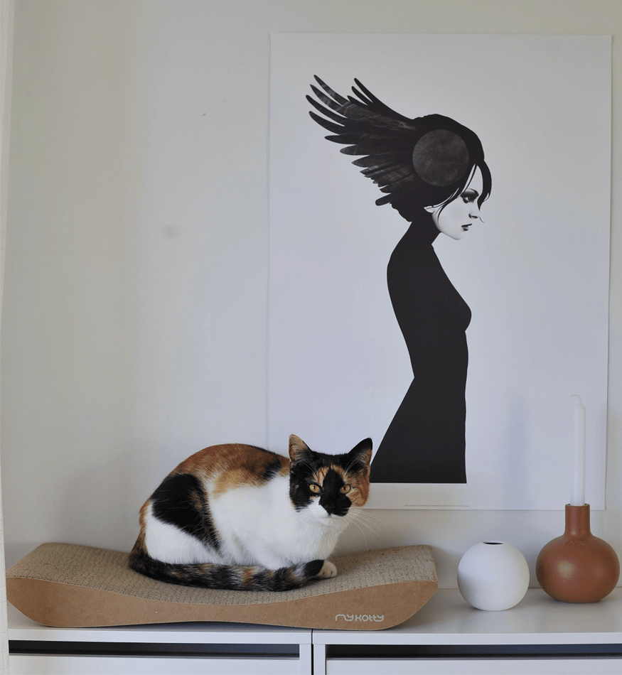 Drapak tekturowy TOBI - obrazek 4