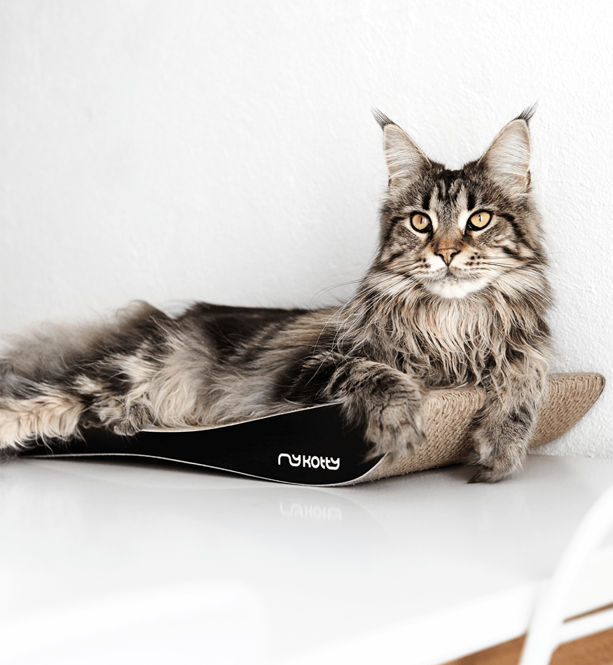 Drapak dla kota kartonowy TOBI - obrazek 3