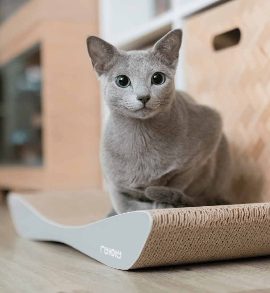 Drapak dla kota tekturowy TOBI - obrazek 5