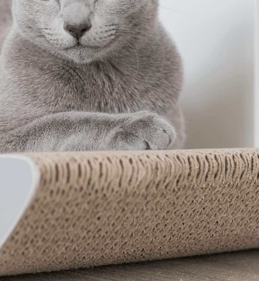 Drapak dla kota tekturowy TOBI - obrazek 7