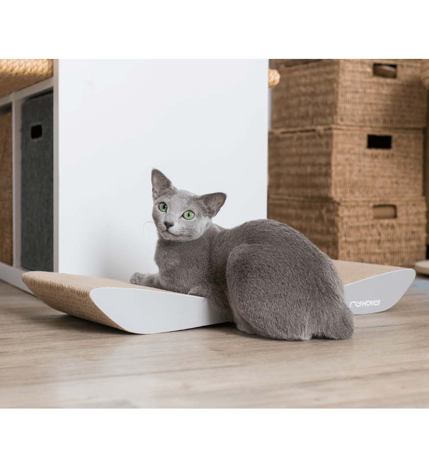 Drapak dla kota tekturowy TOBI - obrazek 3