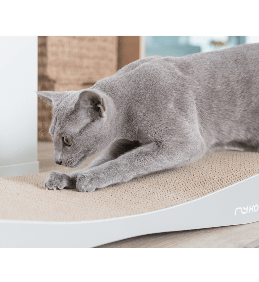 Drapak dla kota tekturowy TOBI - obrazek 6