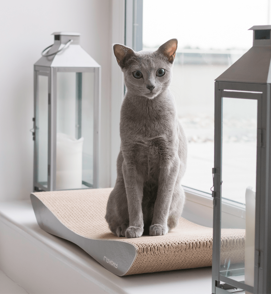 Drapak dla kota tekturowy TOBI - obrazek 2