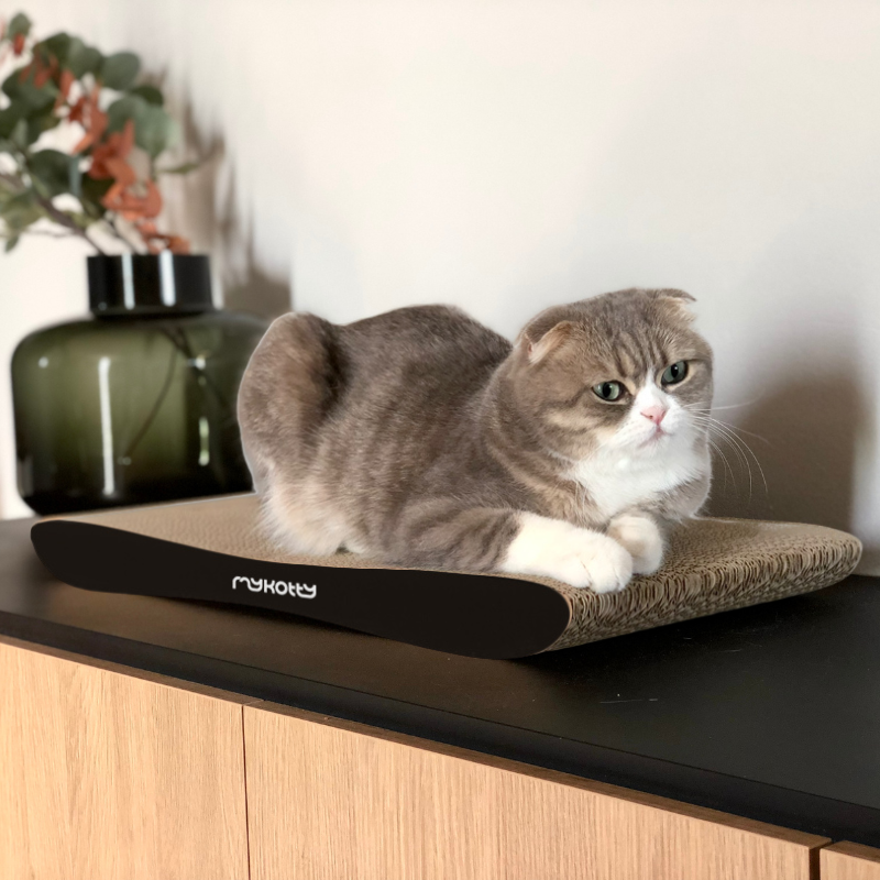 Drapak tekturowy YODI - obrazek 2