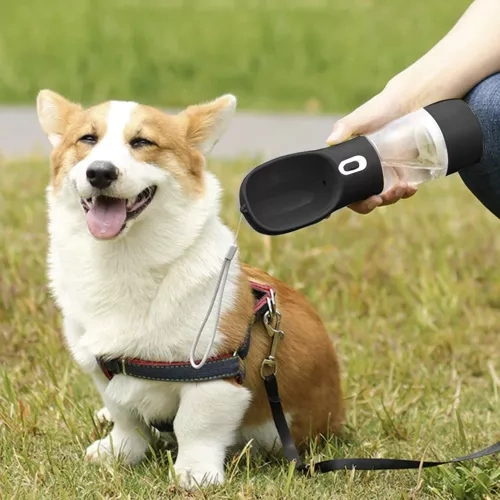 Butelka/ bidon z miską dla psa Purlov 21033 - obrazek 14