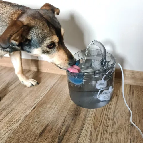 Filtr do poidełka dla psa/kota-4 szt. Purlov 23925 - obrazek 12