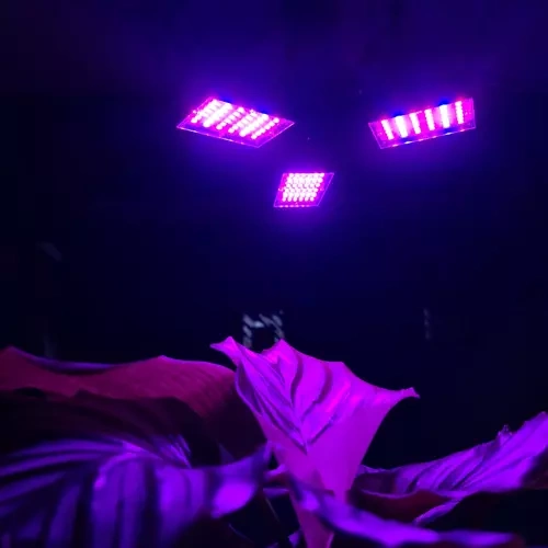 Lampa 108 LED do wzrostu roślin Gardlov 20440 - obrazek 8