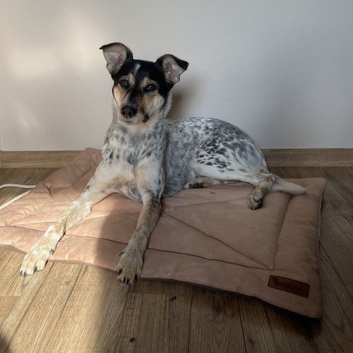 Legowisko dla psa Purlov 24594 - obrazek 14