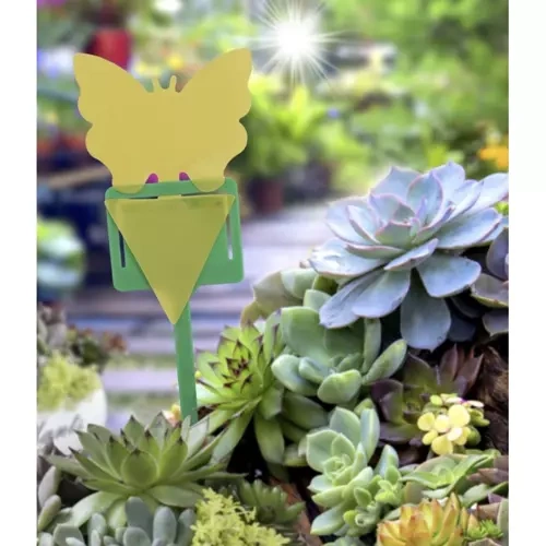 Lep na owady- 12szt. Repest 19053 - obrazek 6