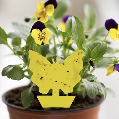 Lep na owady- 12szt. Repest 19053 - obrazek 11