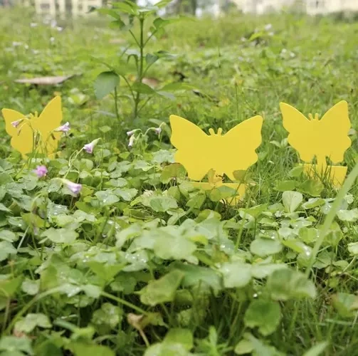 Lep na owady- 12szt. Repest 19053 - obrazek 8