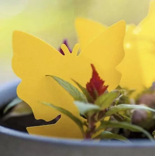 Lep na owady- 12szt. Repest 19053 - obrazek 12