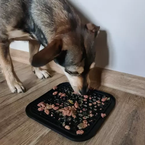 Mata antystresowa/ taca dla psa Purlov 19378 - obrazek 12