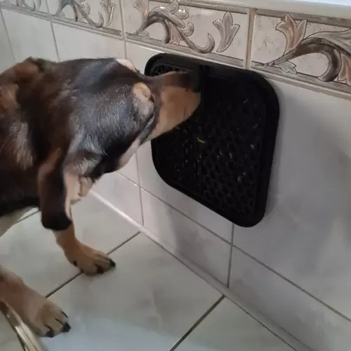 Mata antystresowa/ taca dla psa Purlov 19378 - obrazek 14