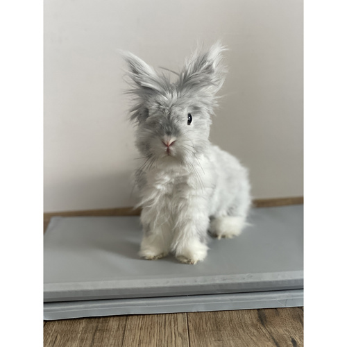 Mata chłodząca dla zwierząt 90x50cm Purlov 25531 - obrazek 9