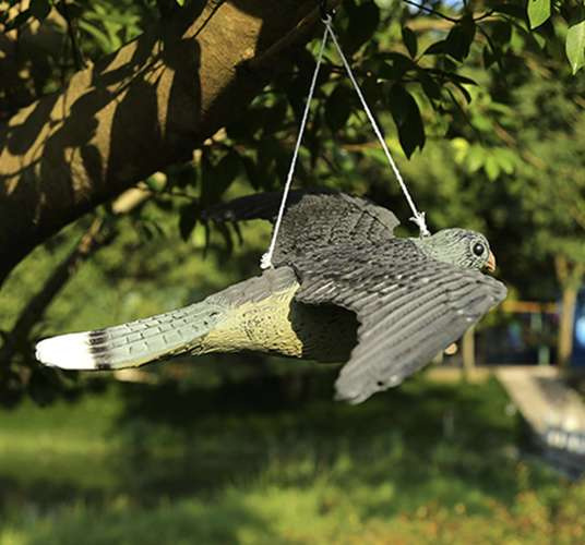 Odstraszacz Repest przeciwko ptakom - obrazek 10