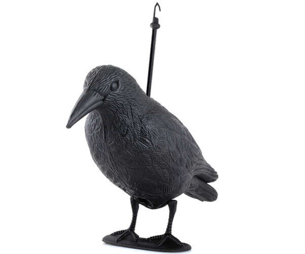 Odstraszacz ptaków - kruk