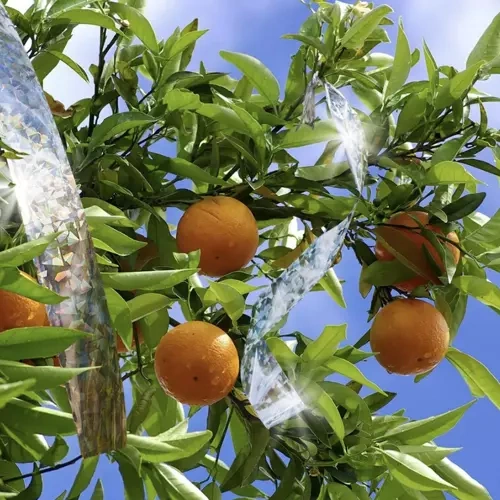 Odstraszacz ptaków- taśma 80m Repest 21041 - obrazek 6