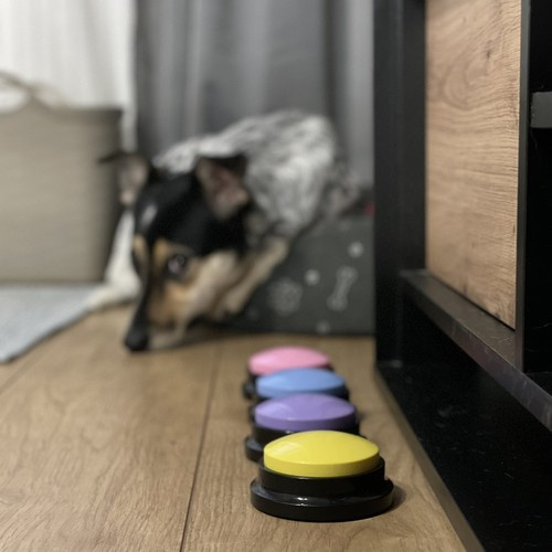 Przyciski dźwiękowe dla zwierząt Purlov 24615 - obrazek 8