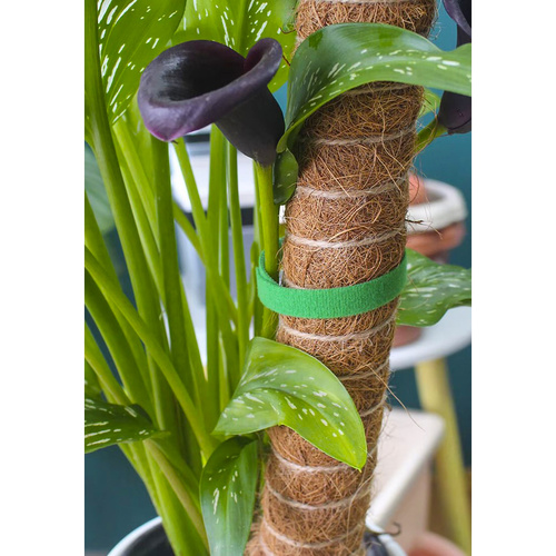 Rzep- taśma ogrodnicza 5m Gardlov 25362 - obrazek 11