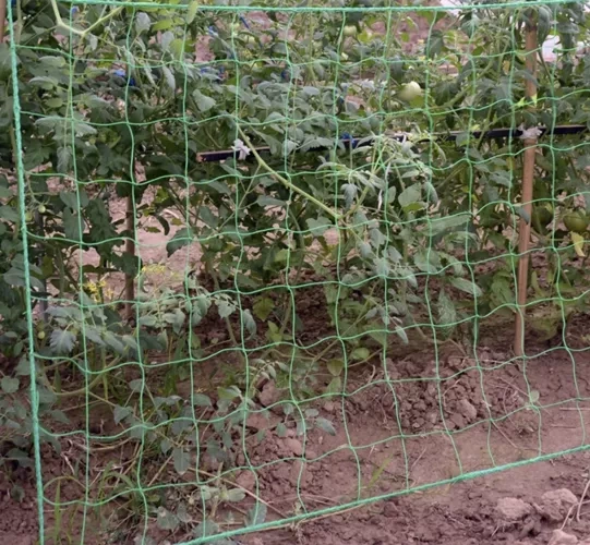 Siatka - podpora do roślin 2x20m Gardlov 23980 - obrazek 7