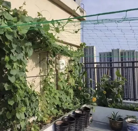 Siatka - podpora do roślin 2x20m Gardlov 23980 - obrazek 9