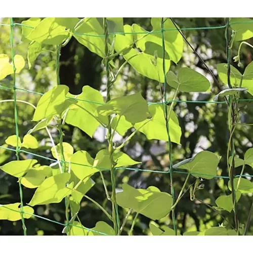 Siatka - podpora do roślin 2x20m Gardlov 23980 - obrazek 10