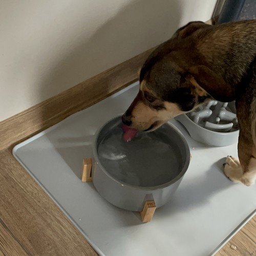 Silikonowa podkładka pod miski Purlov 24295 - obrazek 7