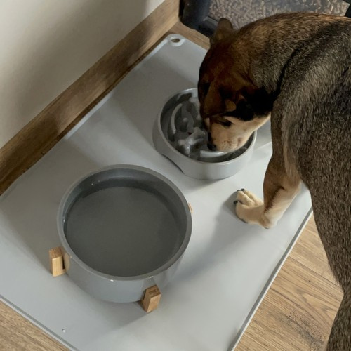 Silikonowa podkładka pod miski Purlov 24295 - obrazek 8