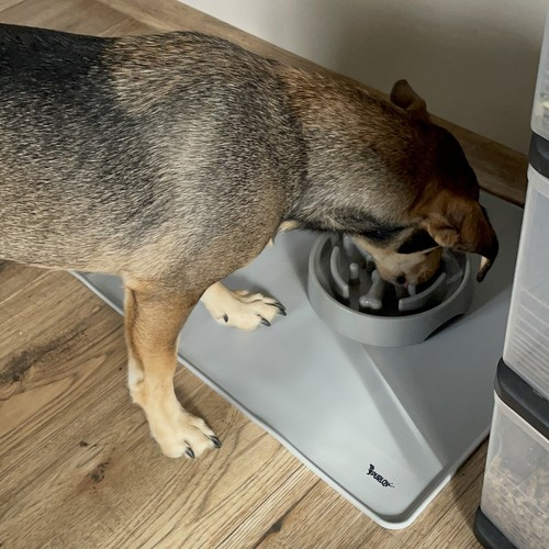 Silikonowa podkładka pod miski Purlov 24295 - obrazek 9