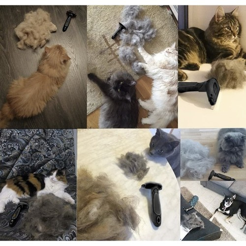 Szczotka do sierści Purlov 24261 - obrazek 8