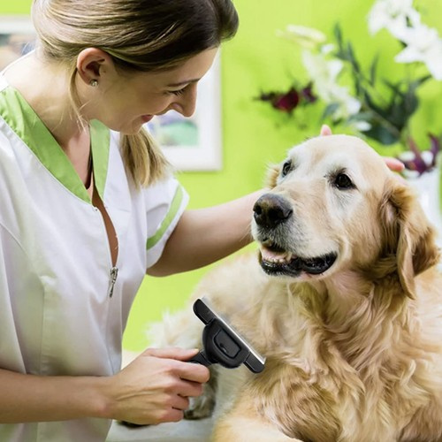 Szczotka do sierści Purlov 24261 - obrazek 10