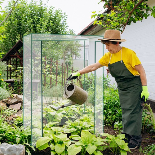 Szklarnia foliowa mini 23358 - obrazek 11