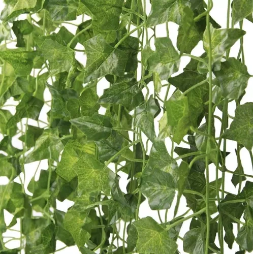 Sztuczny bluszcz- girlanda 50,4m Gardlov 19737 - obrazek 5