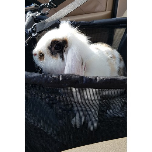 Transporter dla psa na siedzenie Purlov 20973 - obrazek 12