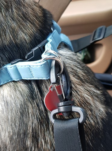 Transporter dla psa na siedzenie Purlov 20973 - obrazek 14